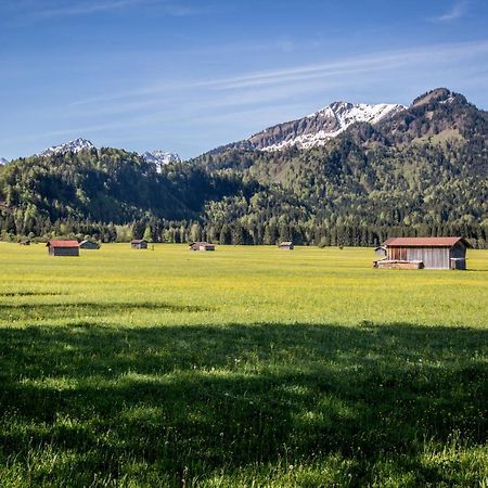 Wiesenblick Oberstdorf Dış mekan fotoğraf