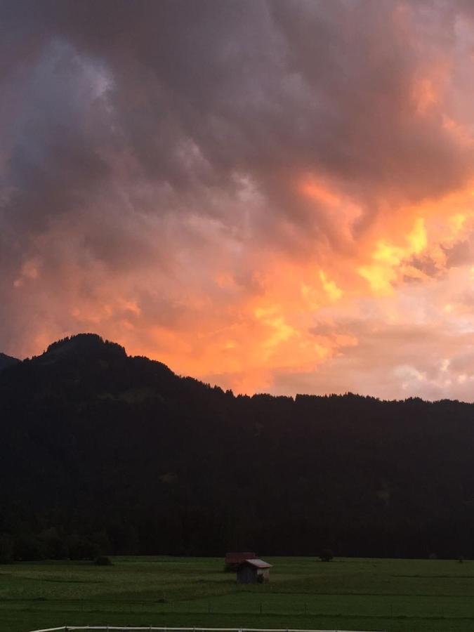 Wiesenblick Oberstdorf Dış mekan fotoğraf