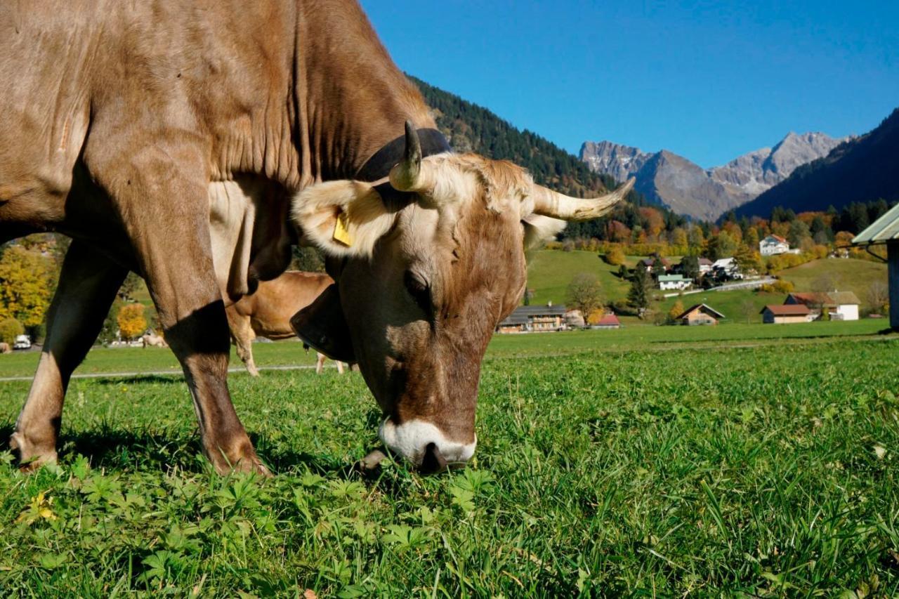 Wiesenblick Oberstdorf Dış mekan fotoğraf